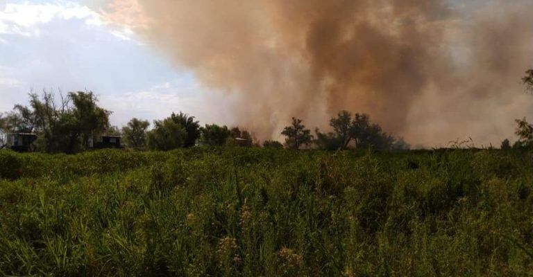 Rosario volvió a la Justicia por los incendios en las islas