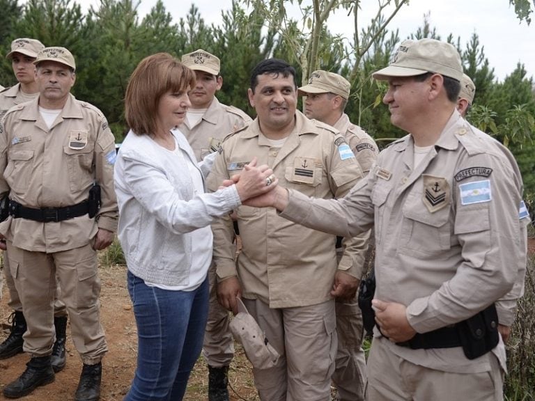 bullrich en mnes