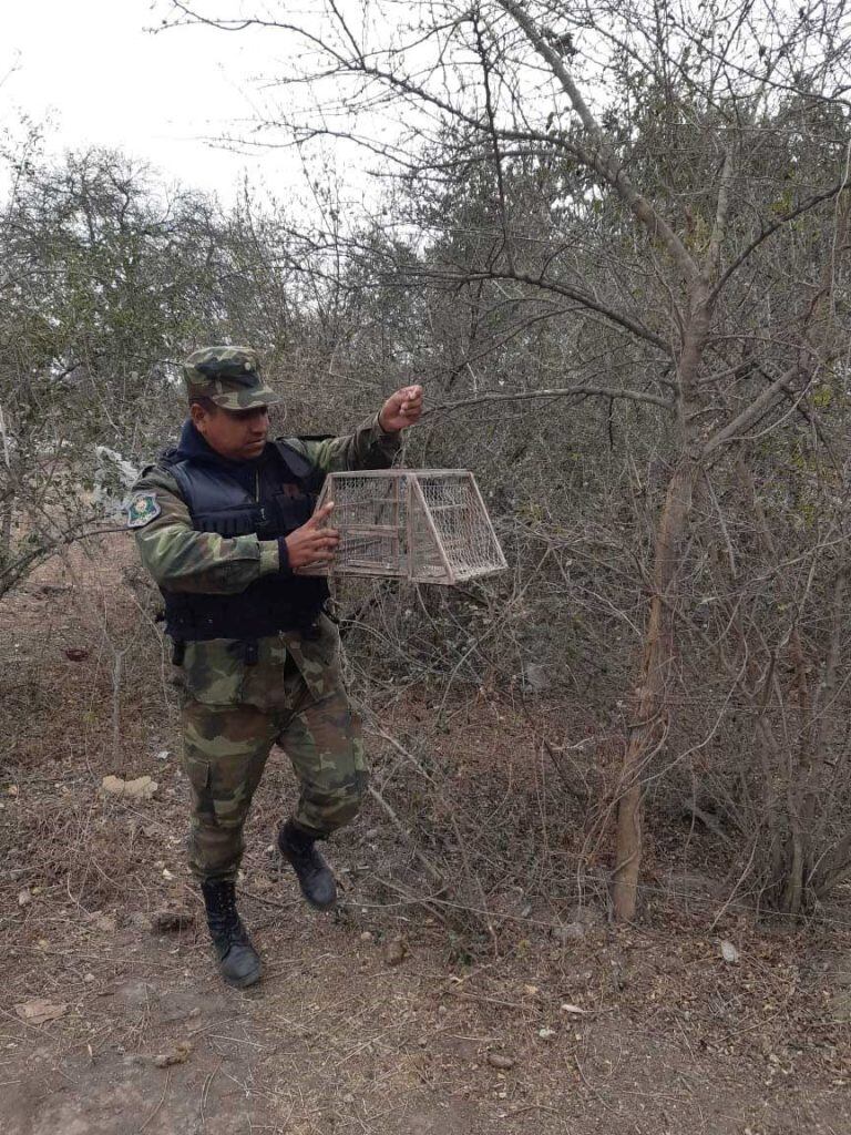 La Policía Rural de Salta rescató aves silvestres y las devolvió a su hábitat. (Policía de Salta)