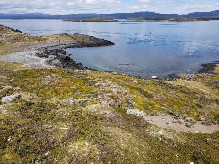 Isla Conejo. Ushuaia.