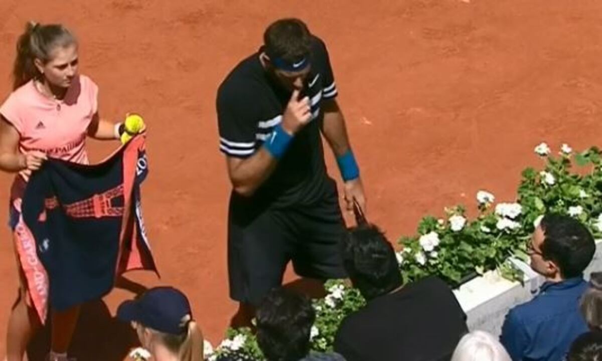El enojo de Del Potro con un hincha al que increpó en pleno partido