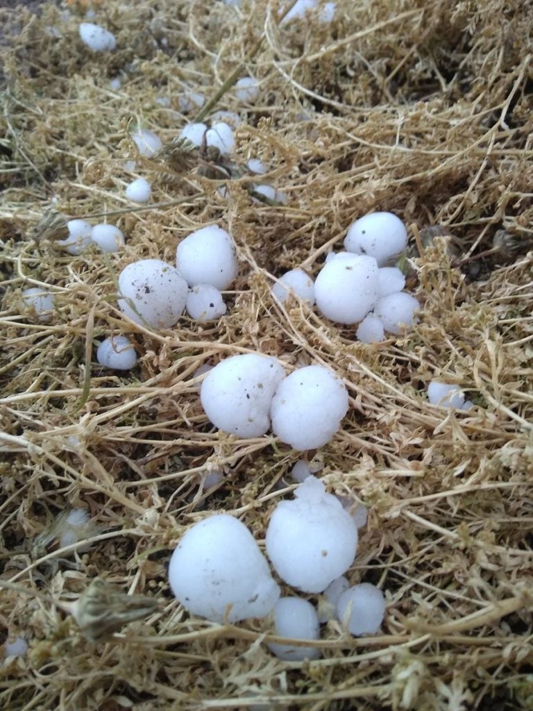 El granizo dijo presente en Berrotarán en medio de un alerta meteorológico por tormentas fuertes.