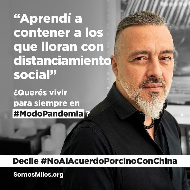 #ModoPandemia: la iniciativa que busca frenar el acuerdo porcino con China que promueven los famosos (Foto: Instagram @somosmilesorg)