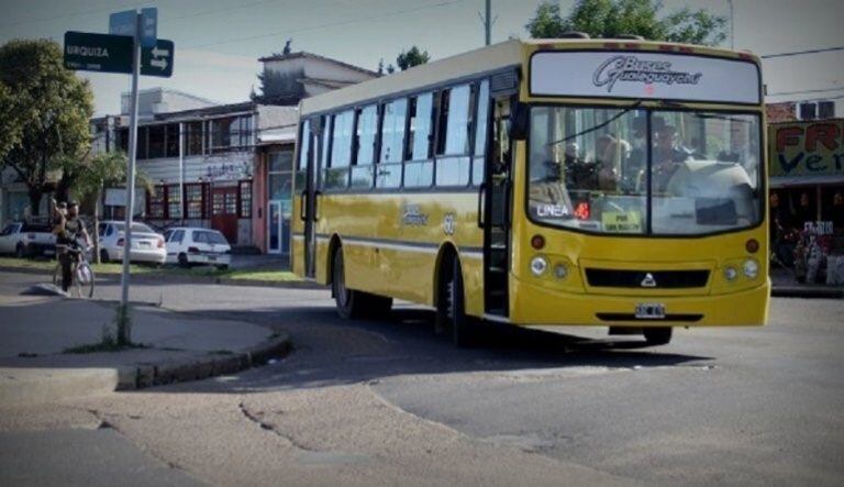 Lineas transporte urbano
Crédito: Vía País