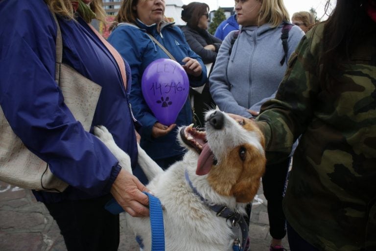 Los vecinos se acercaron a la movilización junto a sus perros (Foto: Facundo Pardo, El Cordillerano).