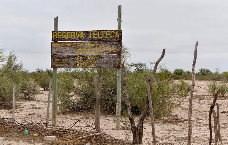 Los Bosques Teltecas  están a 170 km de la Ciudad.