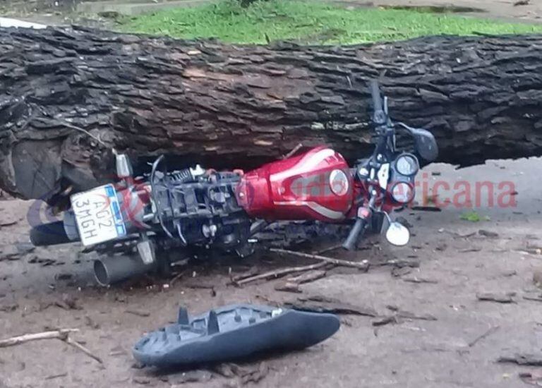 Se arrojó a tiempo de la moto y evitó ser aplastado por un árbol. (Foto: Radio Sudamericana)