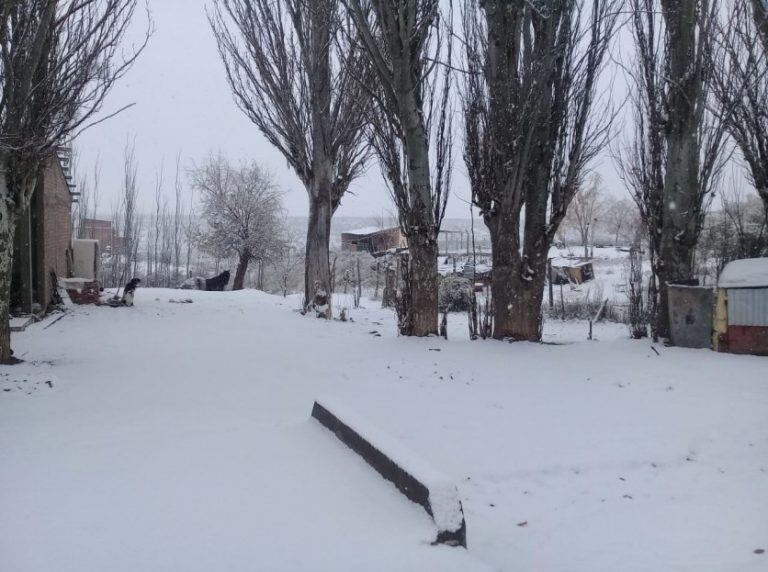 Así quedó el Manzano Histórico tras la nevada.