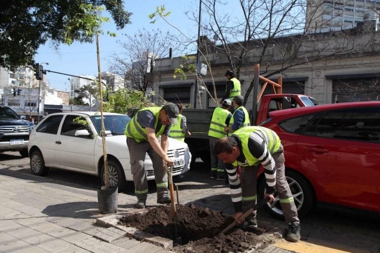 Trabajadores de cooperativas (web).