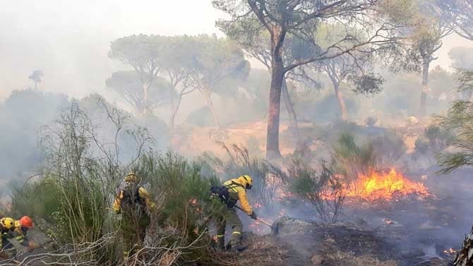 Incendio Forestal - El Hoyo