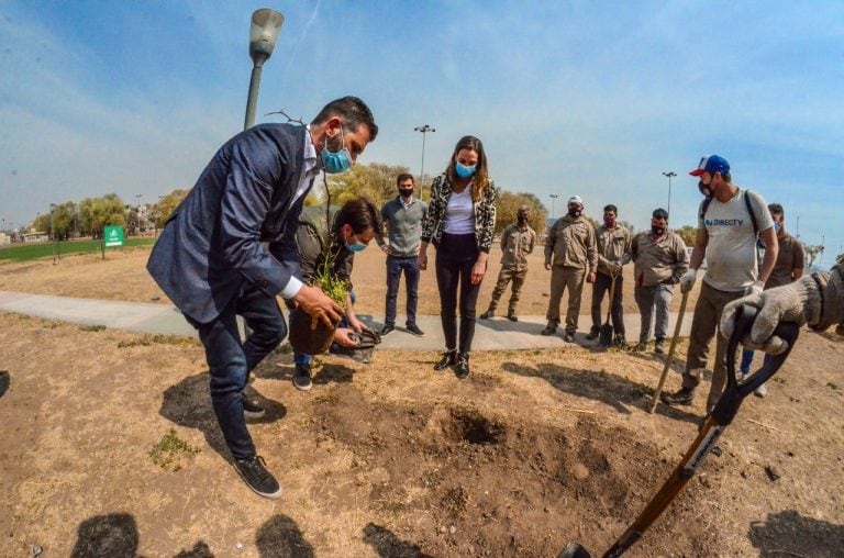 La Calera: el intendente y el Secretario de Ambiente plantaron algunos algarrobos.