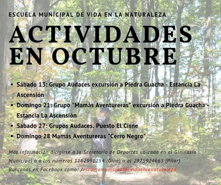 propuestas para octubre de la escuela vida en la naturaleza