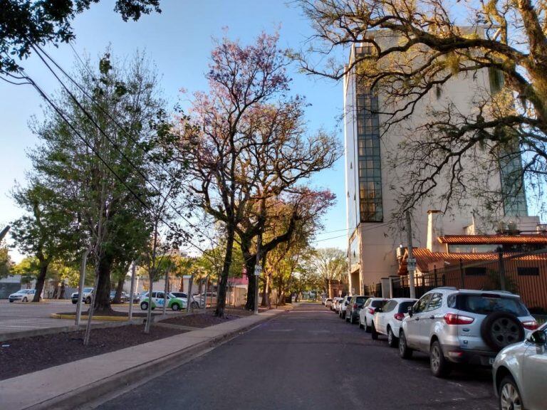 Hermoso domingo para disfrutar al aire libre