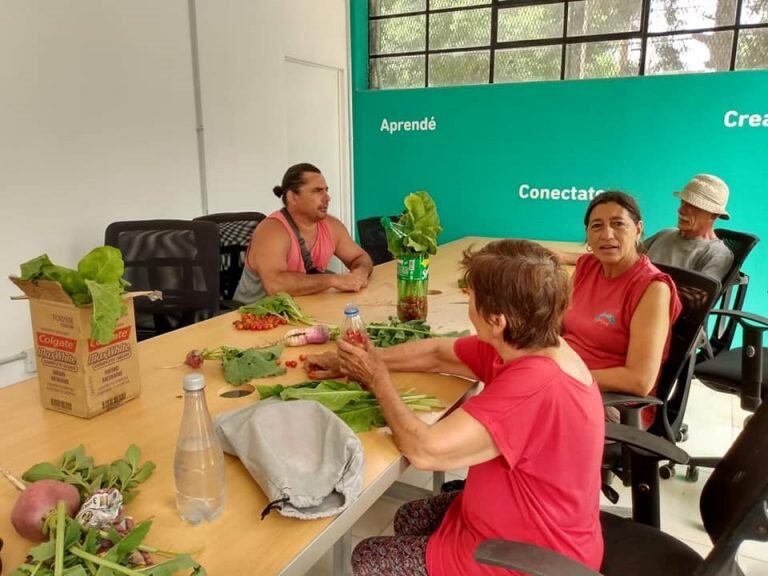 Sigue creciendo la huerta orgánica de Carlos Paz