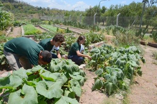 Liceo Agrícola y Enológico Domingo F. Sarmiento - Mendoza