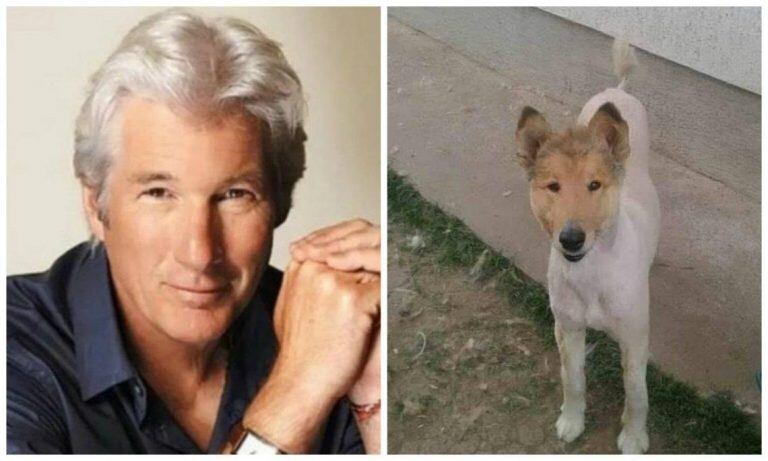 Richard Gere y el perro (Web)