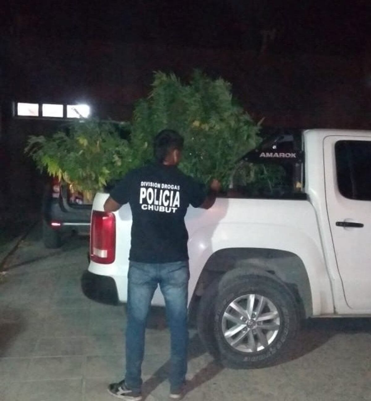 Asistieron a un incendio y se encontraron con más de 50 plantas de marihuana