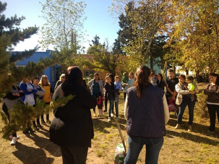 Programa Huertas en jardines maternales