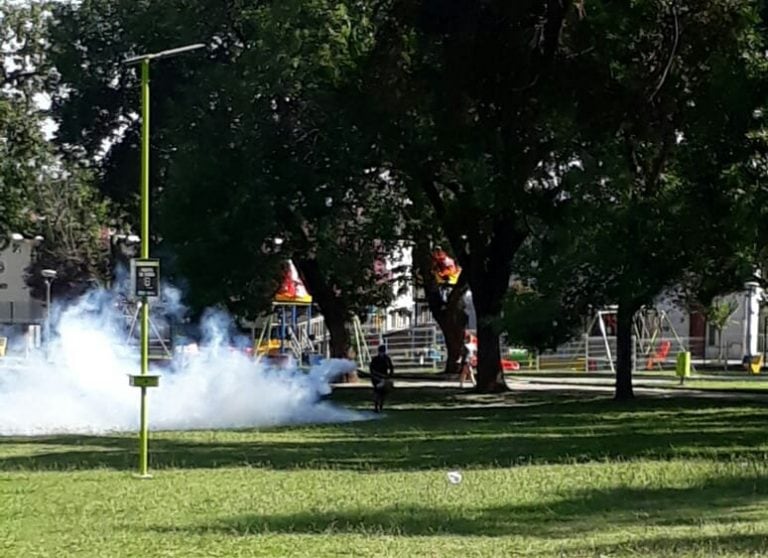 Fumigaciones contra alacranes en Alta Gracia.