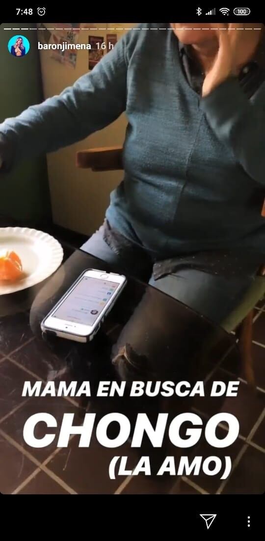 Las stories de Jimena Barón con su mamá Gabriela (Web)