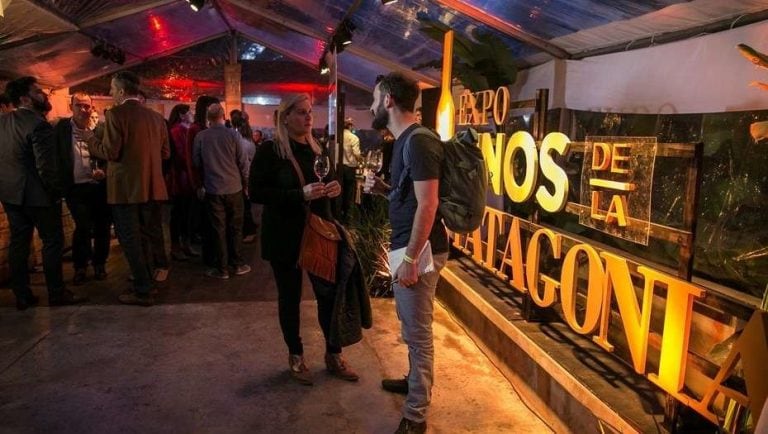 Los vinos de la Patagonia nuevamente serán puestos a consideración del público en la Expo Vinos.