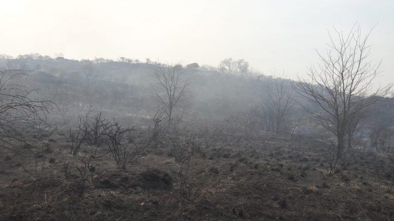 Bomberos contuvieron el incendio en un sector de la Estancia. (Foto: gentileza Noelia Lamagni).