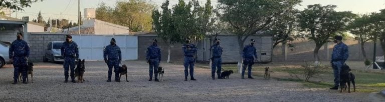 Homenaje a Kiara y a Apolo animales de la Policía de San Luis