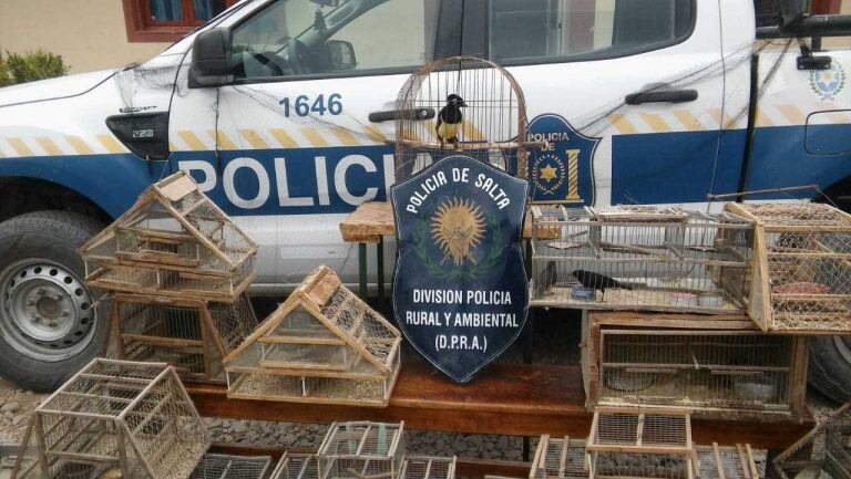 La Policía Rural de Salta rescató aves silvestres y las devolvió a su hábitat. (Policía de Salta)