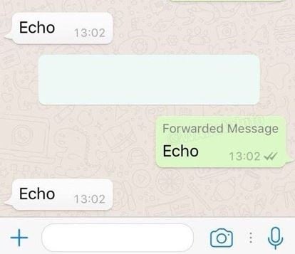 Nueva actualización de WhatsApp