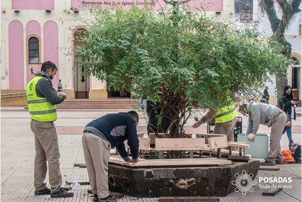 Arreglos florales en la Plaza 9 de Julio de Posadas, frente a la Catedral de San José. (M. de Pdas. )