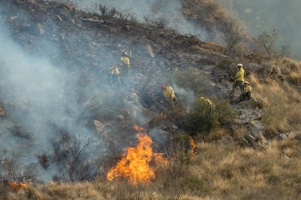 Colocarán carteles indicadores del riesgo de incendio forestal sobre rutas de Mendoza