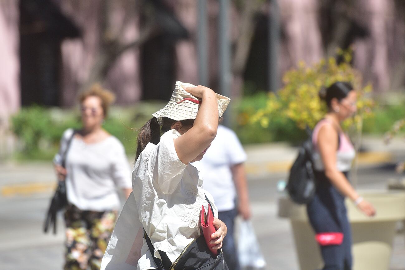 Ola de calor en la ciudad de Córdoba
 (Pedro Castillo / La Voz)