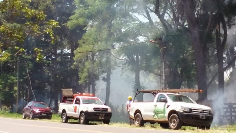 Quema de pastizales por el cortocircuito provocado por un mono.