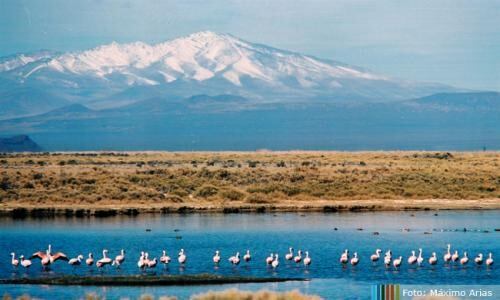 Laguna Llancanelo, Malargüe.