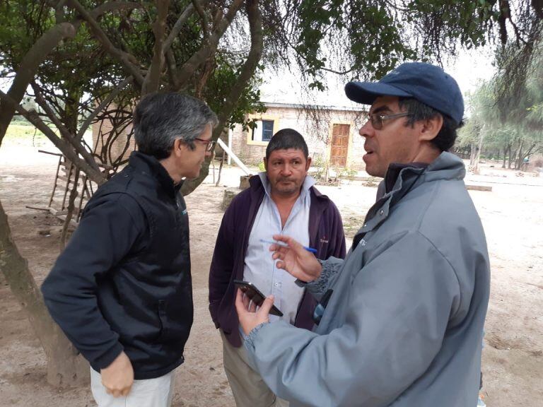 Chaco y Formosa en alerta por mangas de langostas.