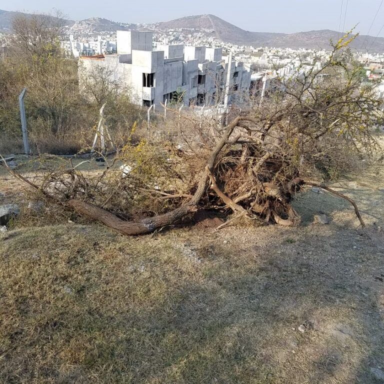 Desmonte en el barrio La Estanzuela