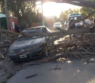 Los daños que dejó el viento Sur.