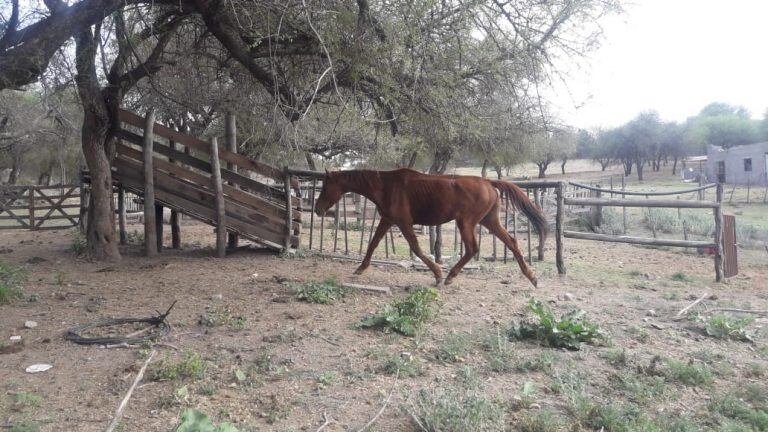 Ayuda de productores