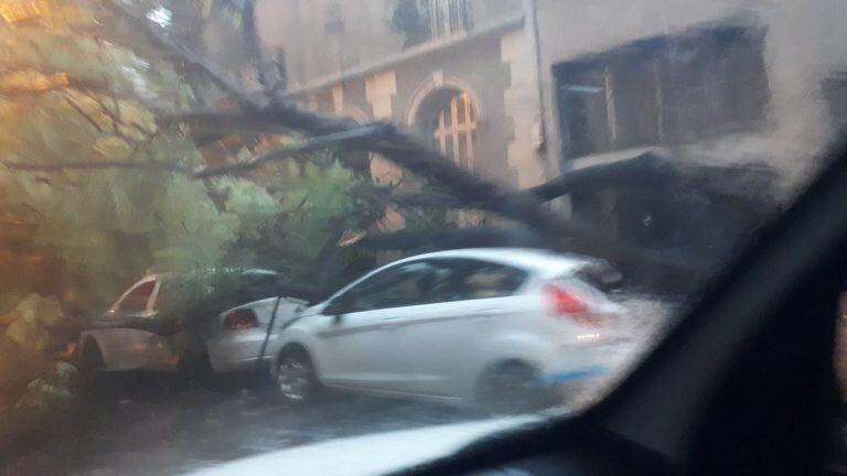 La gran cantidad de agua generó inconvenientes en la ciudad de Rosario