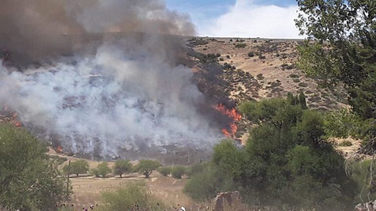 El incendio comenzó en horas de la tarde en cercanías de la ruta 259.