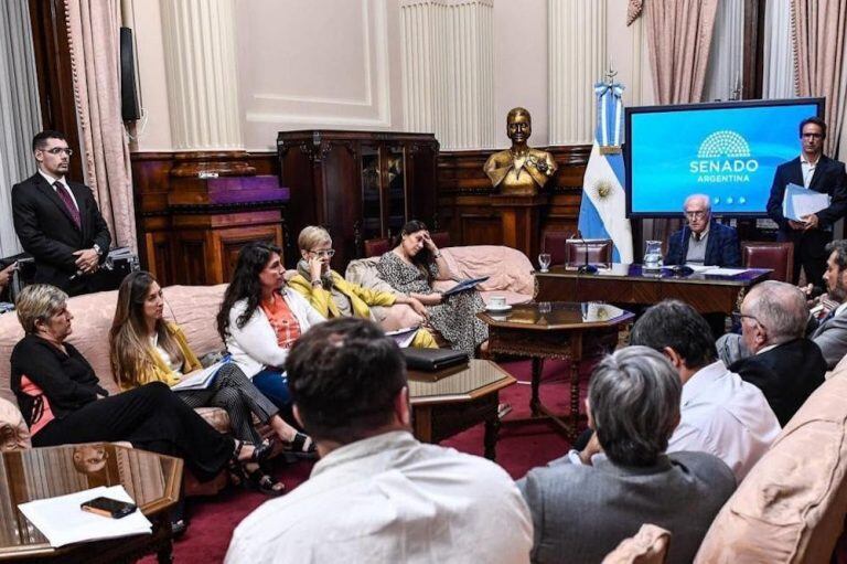 Comisión de Recursos Naturales del Senado de la Nación.