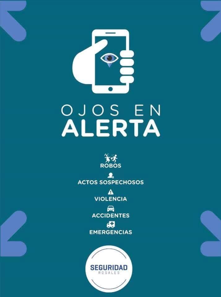 Ojos en Alerta