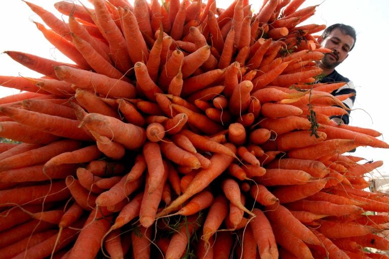 A Jordanian man stacks carrots for selling in a street in Amman, Thursday  Feb. 18, 2010. (AP Photo/Mohammad abu Ghosh) amman jordania  vendedor de zanahorias jordania vida cotidiana