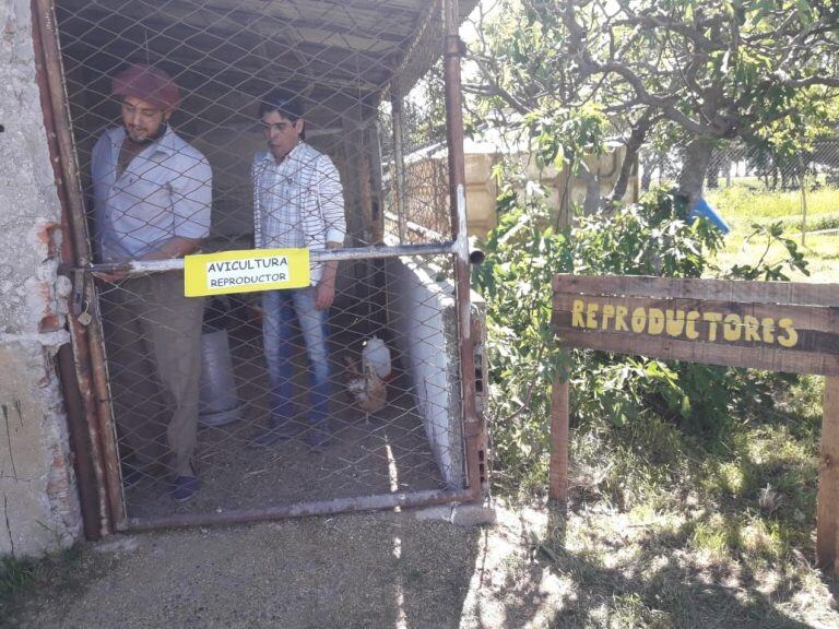 Escuela Agraria de Bajo Hondo