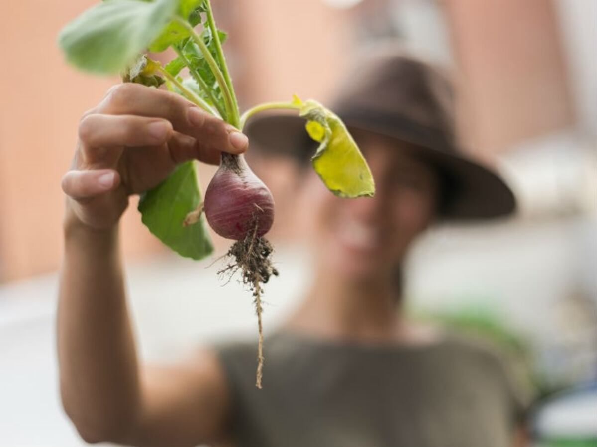 Vínculos sostenibles para el cuidado del medio ambiente