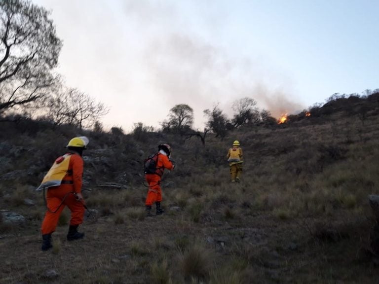 Fue contenido el incendio del viernes 21 de setiembre en Alpa Corral.