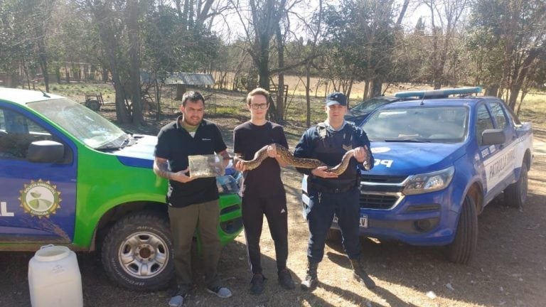 Una lampalagua de más de dos metros y una tarántula fueron secuestrados por la Policía Ambiental en la localidad de Chucul. (Policía Ambiental)