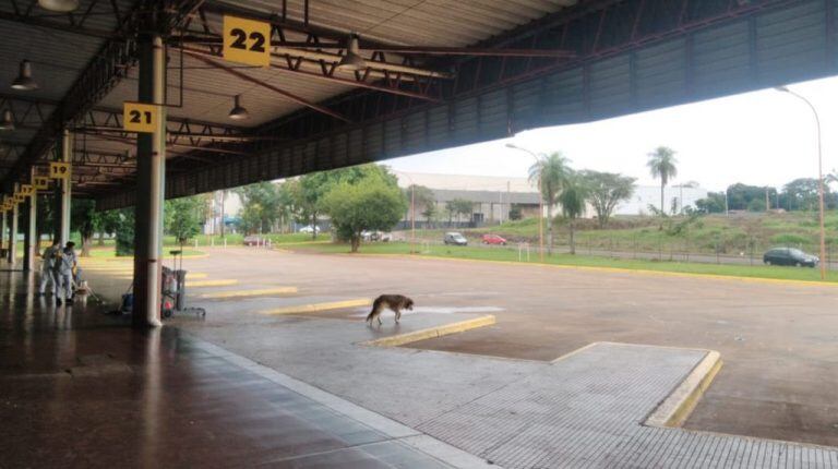 Terminal de Posadas durante el paro de este 1 de mayo