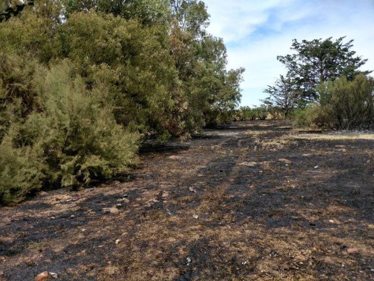 Incendio en Pileta de Rosario