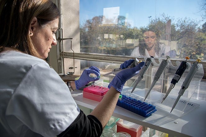 Un estudio del Instituto de Virología de la UNC y un estudio preocupante sobre la clamidia en el embarazo. (Unciencia)